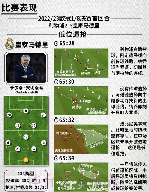 世界杯比利时贝林厄姆战术分析深度解读